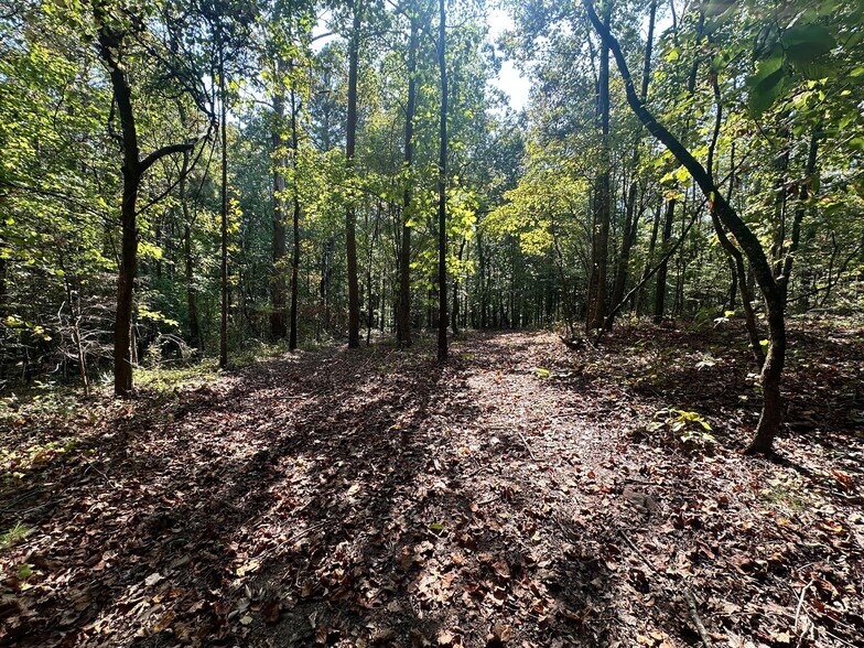 More Photos Of 7330 Frix Rd, Cumming Land For Sale