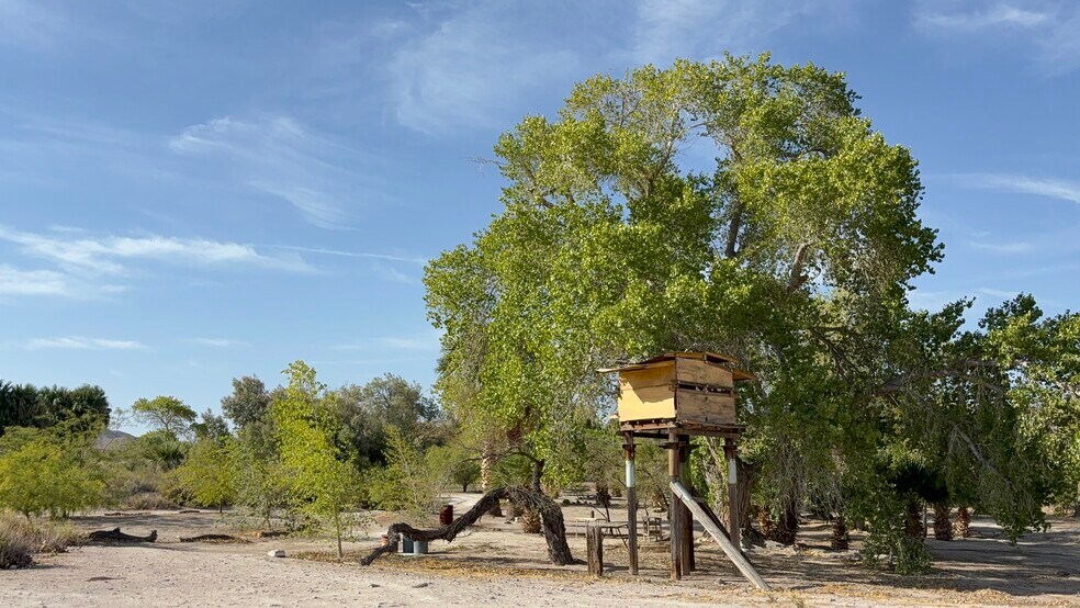 More Photos Of 160 +/- Acres Juanita Springs Ranch, Bunkerville Land For Sale
