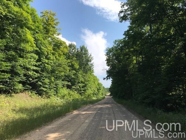 Primary Photo Of TBD Rock River Rd, Deerton Land For Sale