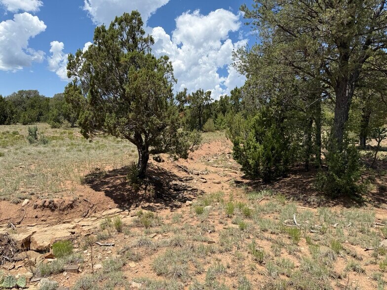 More Photos Of 44 Forest 321 Rd, Estancia Land For Sale