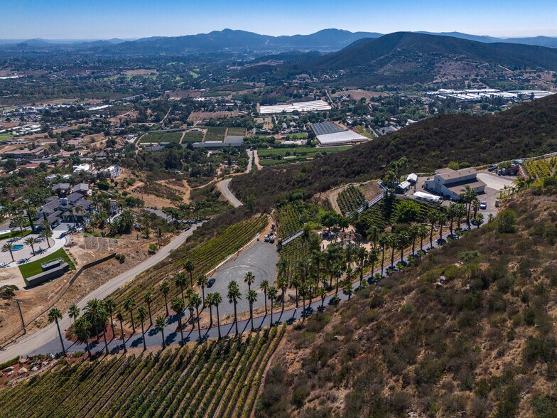 More Photos Of 2286 Sunshine Mountain Rd, San Marcos Winery Vineyard For Sale