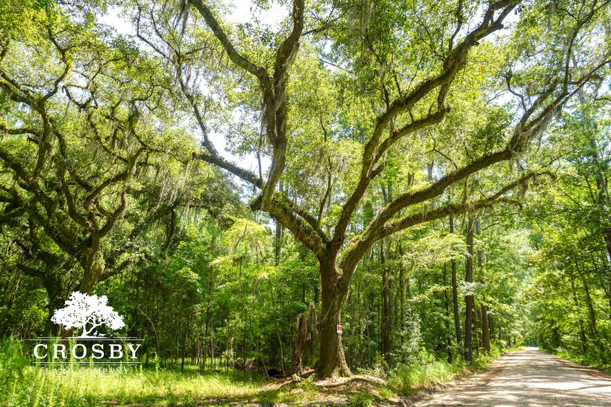 Primary Photo Of 3009 Lowcountry Drive, Ridgeland Land For Sale