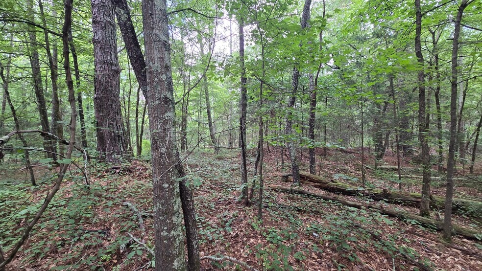 More Photos Of 5171 Ga Highway 138, Loganville Land For Sale