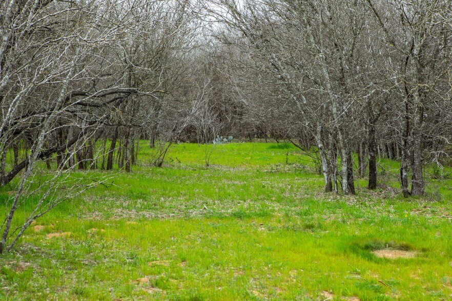 More Photos Of 10709 US Highway 87 N, Adkins Land For Sale