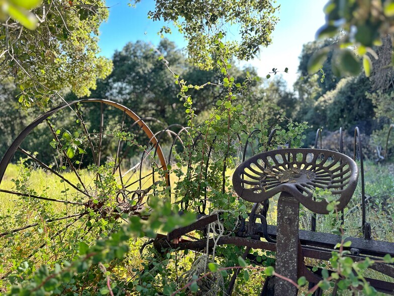 More Photos Of 29820 Old Mitchell Camp Road, Warner Springs Land For Sale