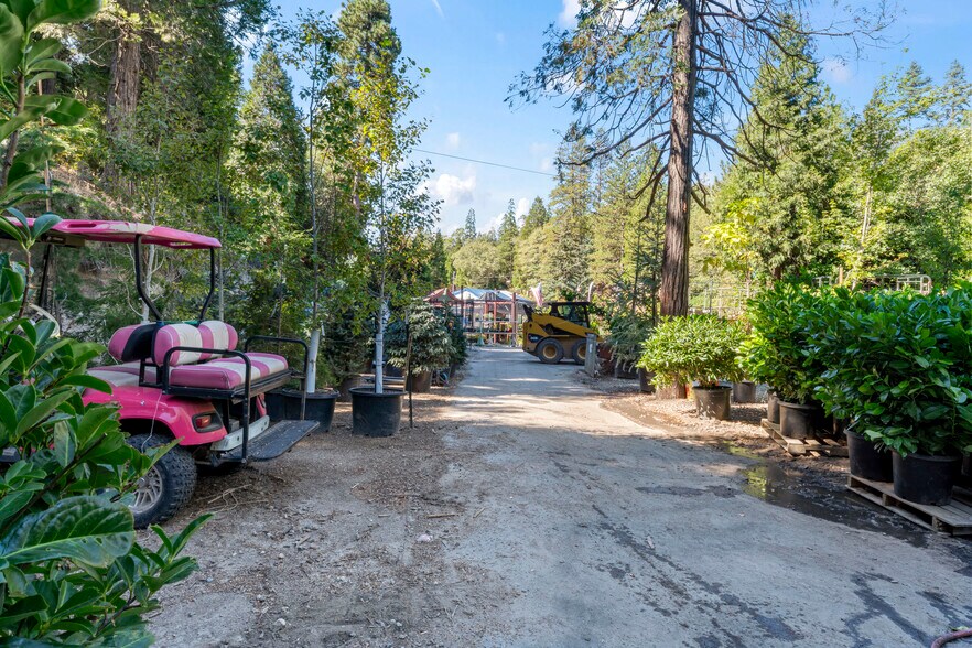 More Photos Of 303 CA-173 Hwy, Lake Arrowhead Garden Center For Sale