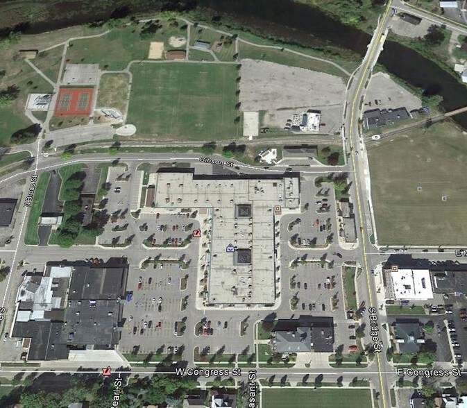 More Photos Of 250-600 Covered Vlg, Belding Storefront For Lease