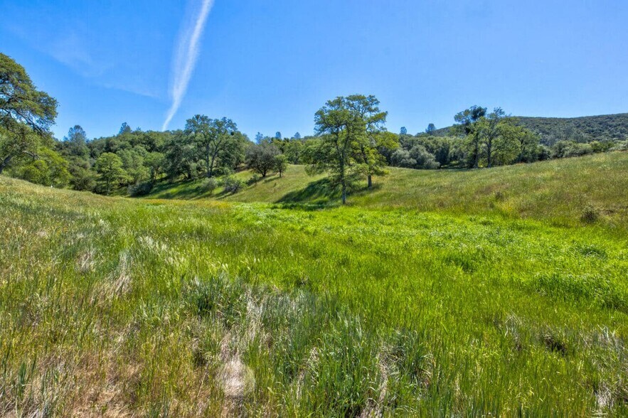 More Photos Of 4780-4784 Mary Harrison Mine Rd, Coulterville Land For Sale
