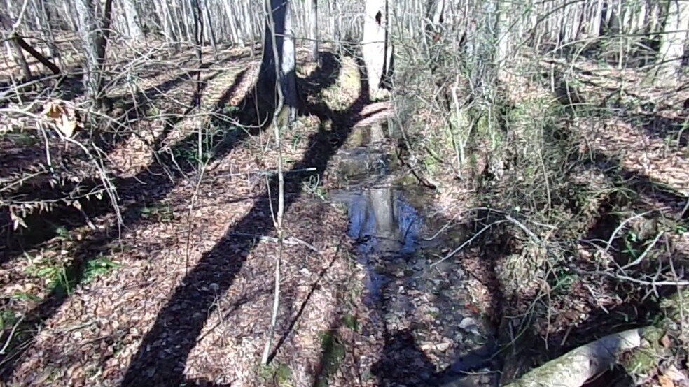 More Photos Of 41 ACRES Hwy 55 Hwy, Clover Land For Sale