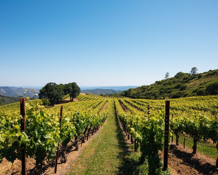 Primary Photo Of 14335 Sonoma Highway 12, Glen Ellen Winery Vineyard For Sale