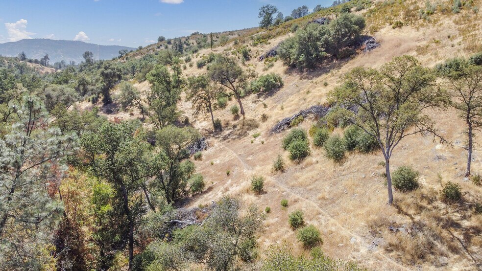 More Photos Of 5761 Highway 4, Angels Camp Land For Sale