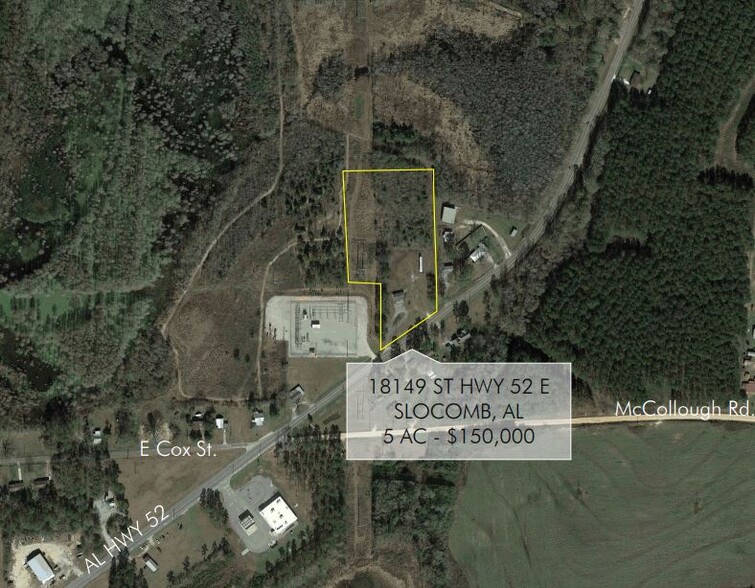 Primary Photo Of 18149 E State Highway 52, Slocomb Land For Sale