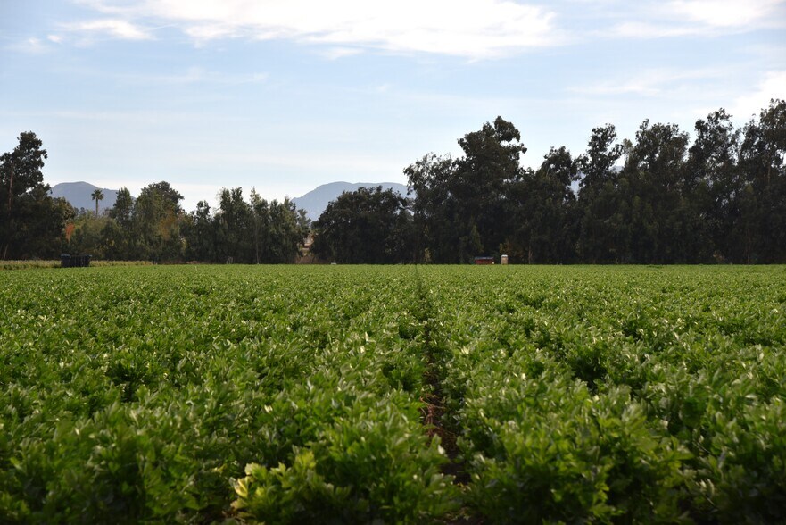 More Photos Of 3425 Wright Rd, Camarillo Land For Sale