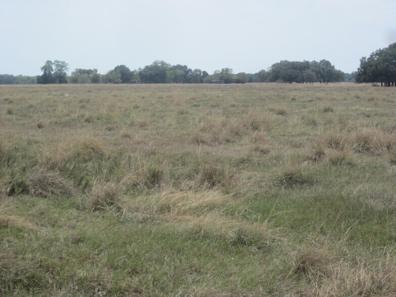 More Photos Of 3671 W Fm 1093 Rd, Wallis Land For Sale