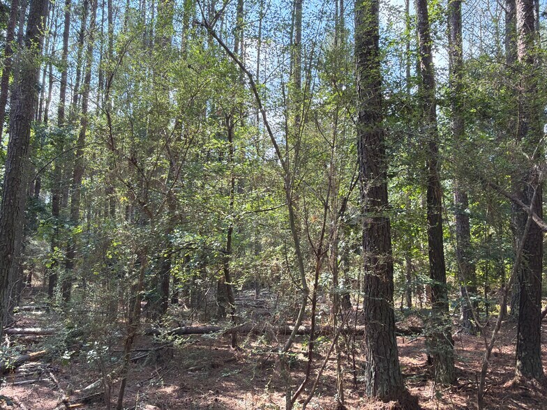 More Photos Of 107 Popham rd, Taylorsville Land For Sale