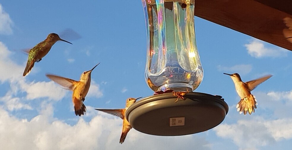 More Photos Of 3658 Ice Caves Rd, Ramah Restaurant For Sale