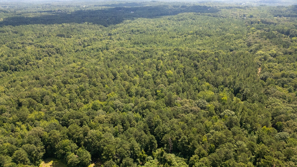 More Photos Of 17796 Dry Branch loop, Northport Land For Sale