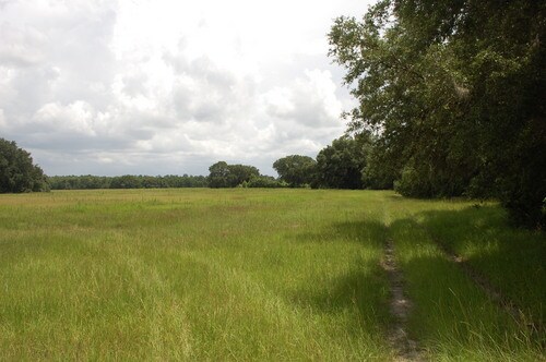 More Photos Of 4107 NE 255th Dr, Melrose Land For Sale