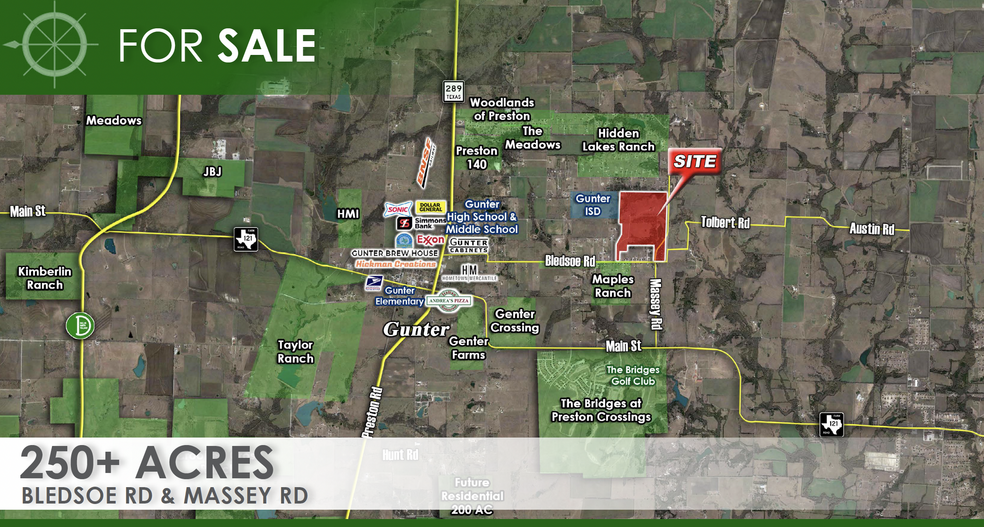 Primary Photo Of BLEDSOE RD & MASSEY RD, Gunter Land For Sale