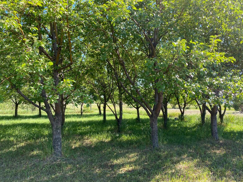 More Photos Of 157 Hergenrider Rd, Bridger Land For Sale