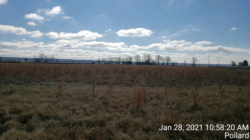 Primary Photo Of 74 County Road 325, Pollard Land For Sale