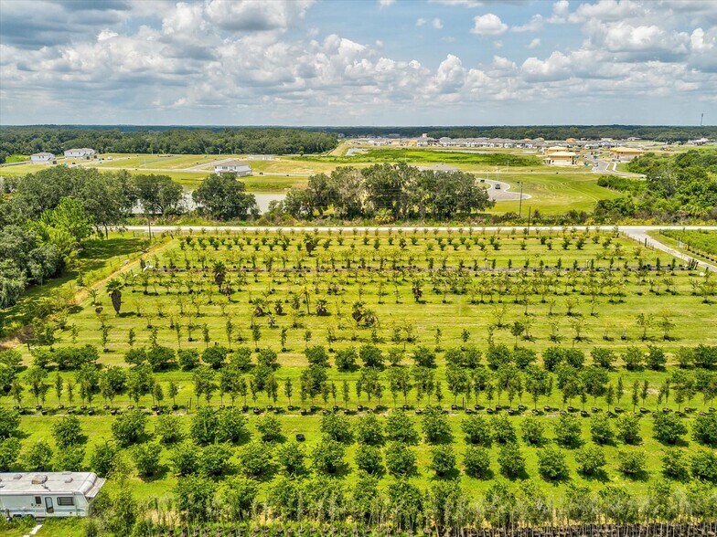 More Photos Of 2816 Crystal Springs Rd, Zephyrhills Winery Vineyard For Sale