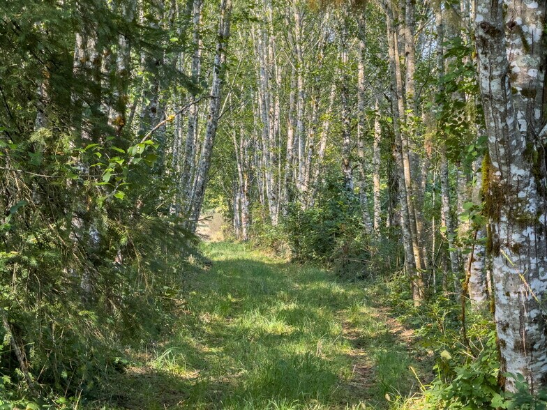More Photos Of 104 Bills Ln, Onalaska Land For Sale