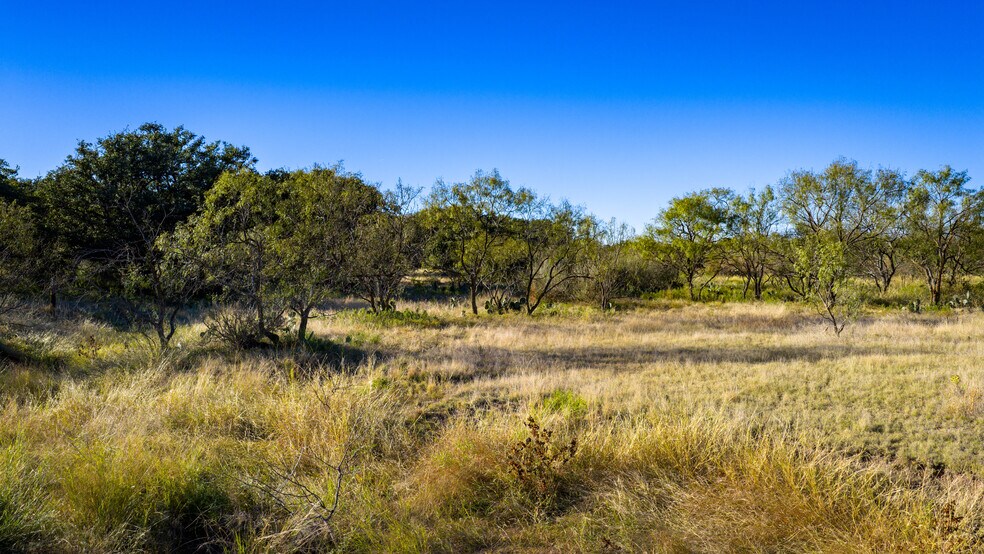 More Photos Of 7499 US 87 hwy, Mason Land For Sale