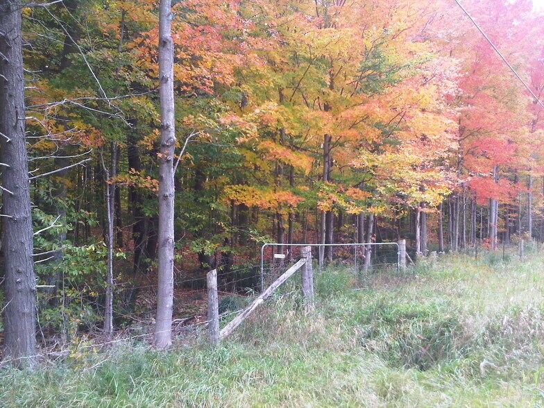 More Photos Of 8949 Wellington 22, Erin Land For Sale