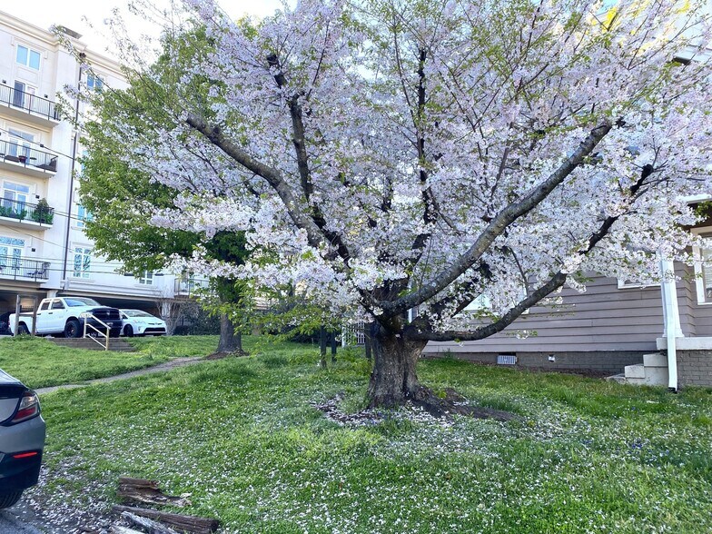 More Photos Of 113 30th Ave N, Nashville Medical For Sale