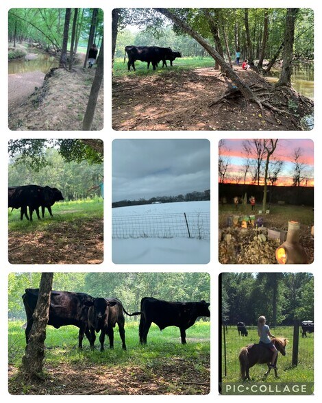 More Photos Of 10774 County Road 494, Tyler Apartments For Sale