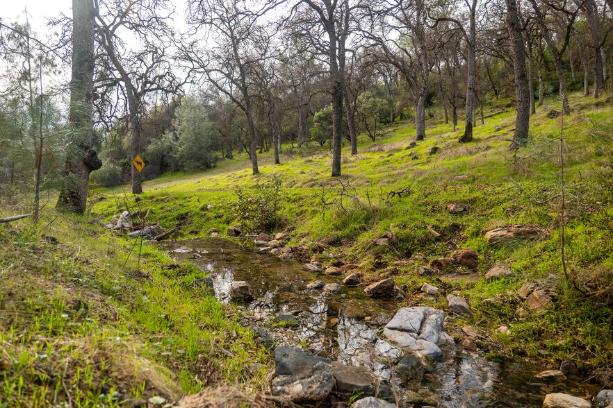 More Photos Of Skunk Gulch Rd, Vallecito Land For Sale