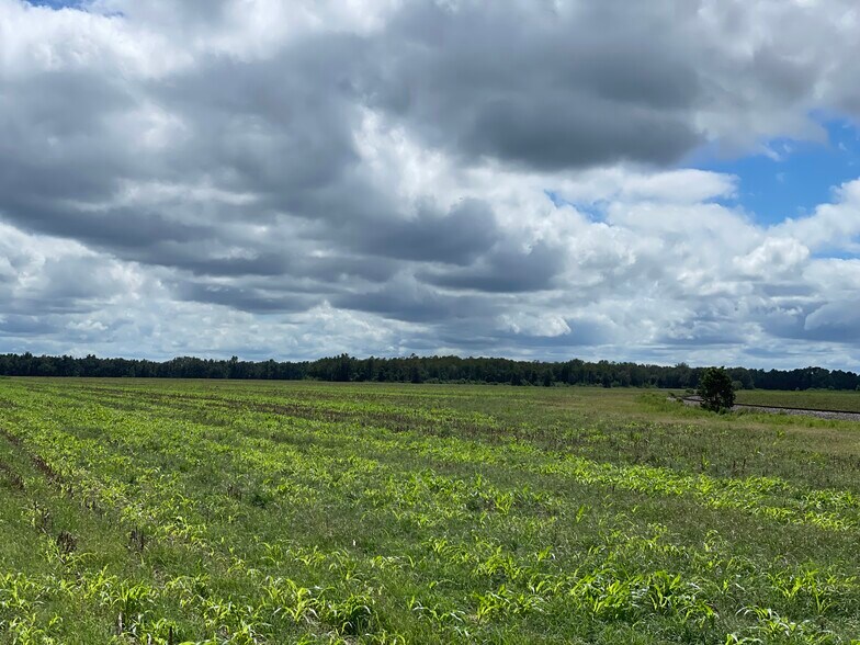More Photos Of 5700 Pine Forest Rd, Walnut Hill Land For Sale