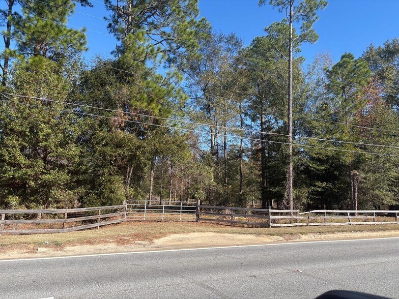 More Photos Of , Colquitt Land For Sale