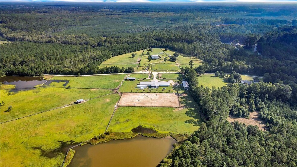 More Photos Of 1075 Osteen Rd, Bloomingdale Land For Sale