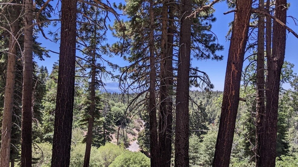 More Photos Of 0 San Antonio, Green Valley Lake Land For Sale