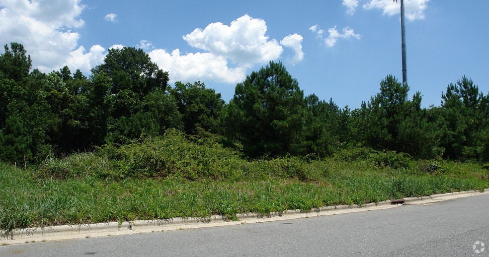 Primary Photo Of Darby Ave @ N Heritage St, Kinston Land For Sale
