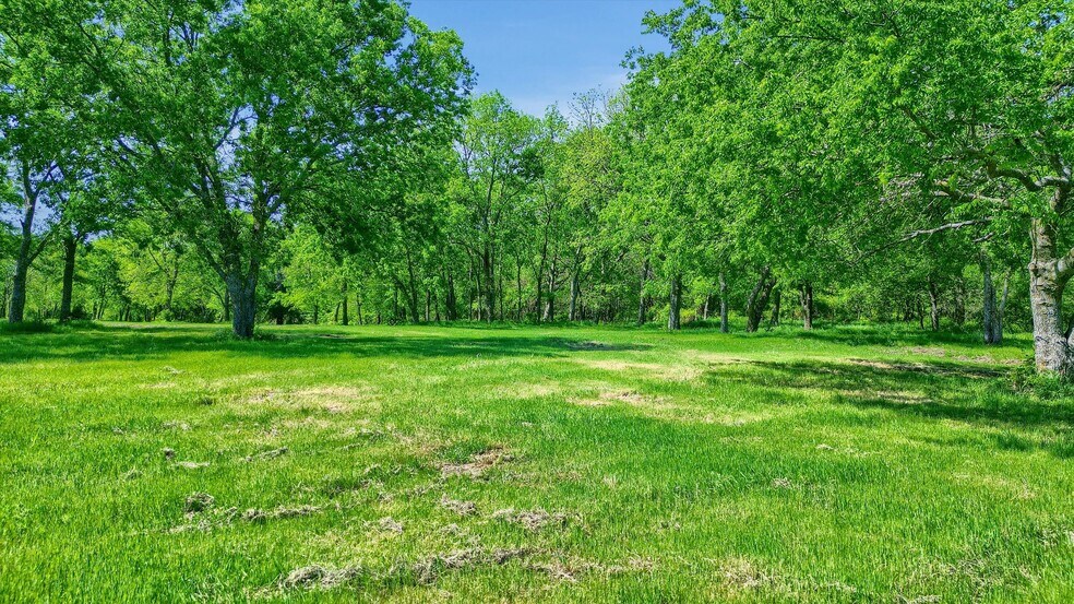 More Photos Of 695 Mackey Road, Gunter Land For Sale