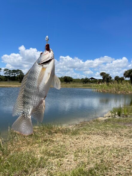More Photos Of 2105 86th Ave SW, Vero Beach Land For Sale
