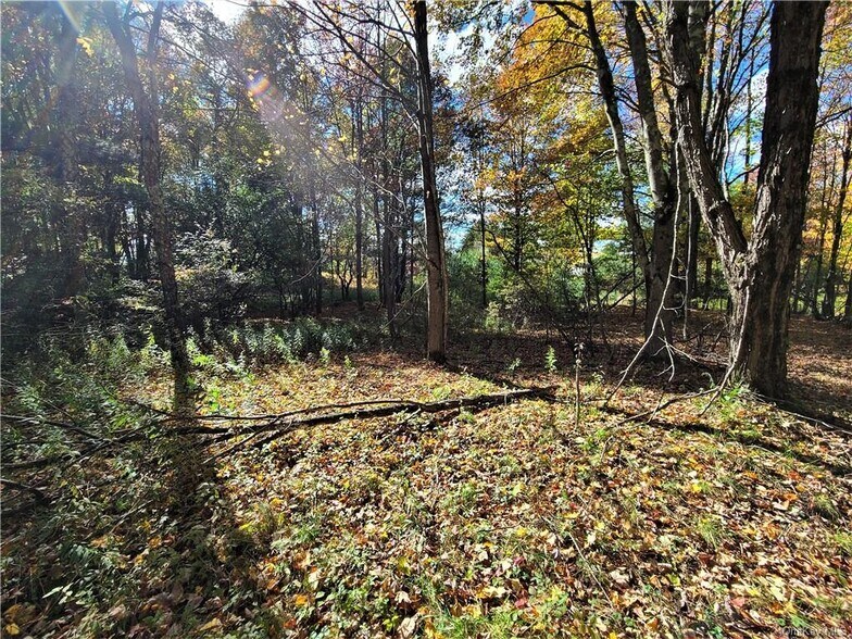 More Photos Of Kaufman Rd, Monticello Land For Sale