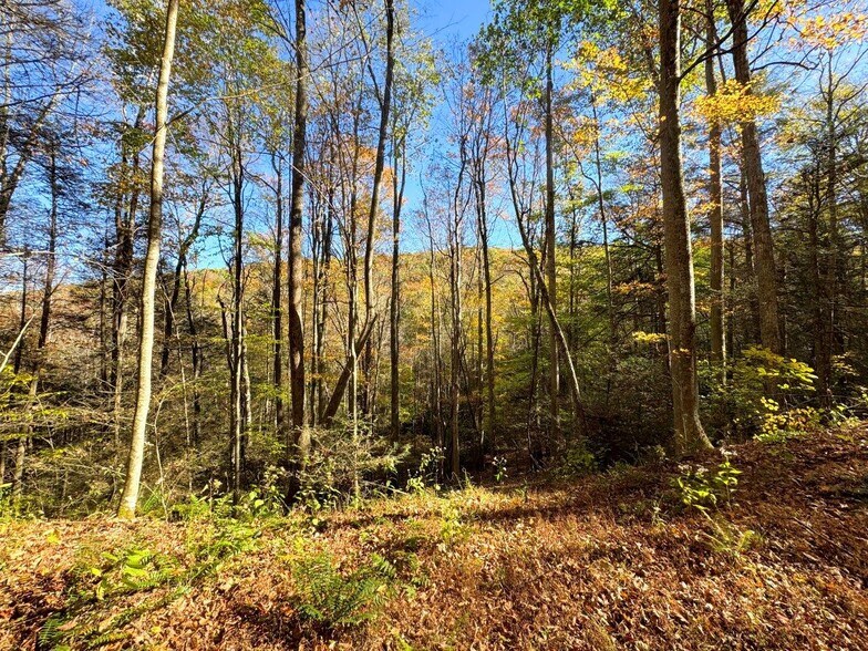 More Photos Of 0 Old Pluto Rd, Shady Spring Land For Sale