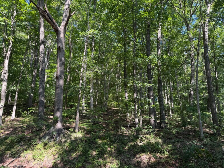 More Photos Of Rainbow Trl, Waverly Land For Sale