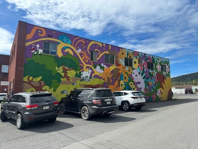 Primary Photo Of 402 Church St, Summersville General Retail For Sale