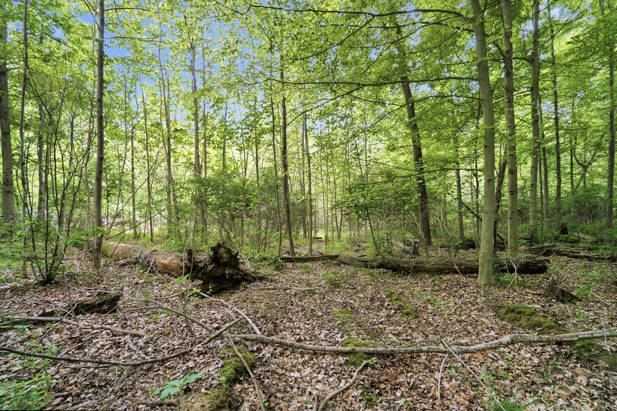 More Photos Of 30-Acres Wolfpen Pleasant Hill Rd, Day Heights Land For Sale