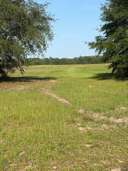 Primary Photo Of 605 Old River Rd, Bloomingdale Land For Sale