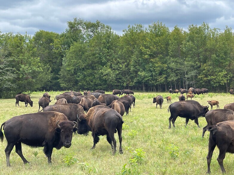 More Photos Of 6040 AL-28, Pine Apple Specialty For Sale