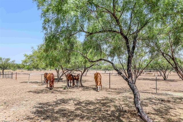 More Photos Of 1273 Ben Silva Rd, Asherton Land For Sale