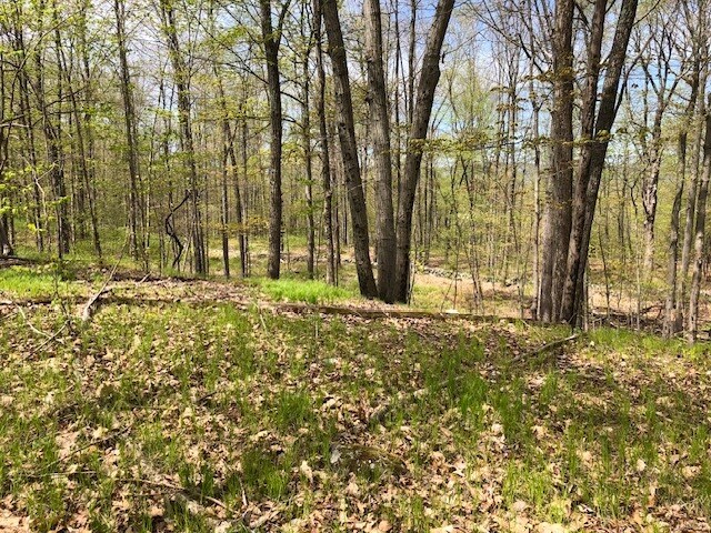 More Photos Of 152 Lily Lake Rd, Highland Land For Sale