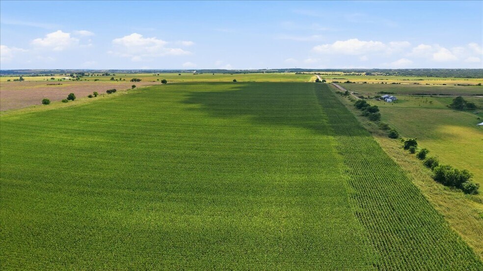More Photos Of County Road 319, Granger Land For Sale