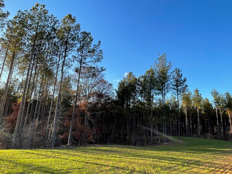 More Photos Of 92 Lillian Strong rd, Carlton Land For Sale